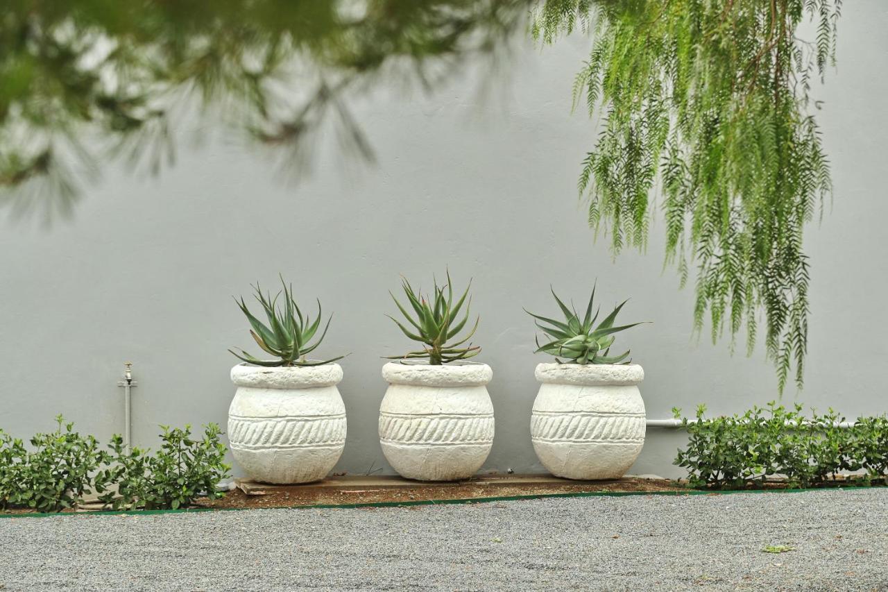 콜스버그 The Fancy Cactus 아파트 외부 사진